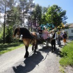 Hest og vogn i blomstertoget